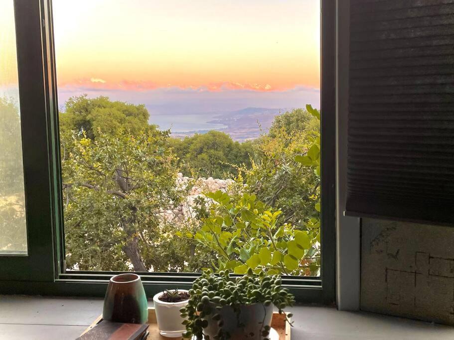 Solara Cabin Amirim Εξωτερικό φωτογραφία