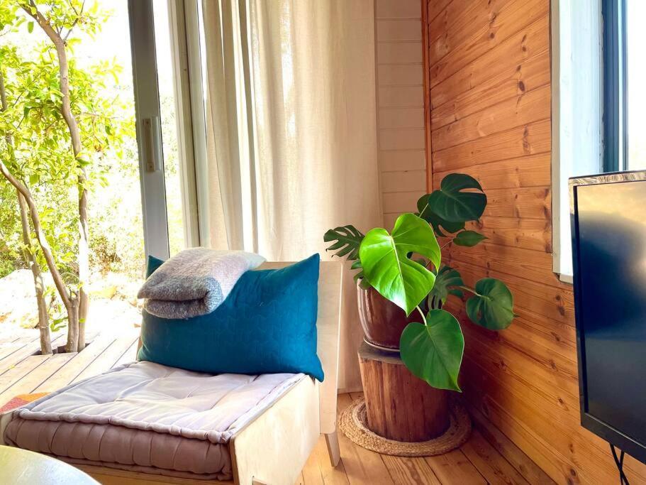 Solara Cabin Amirim Εξωτερικό φωτογραφία